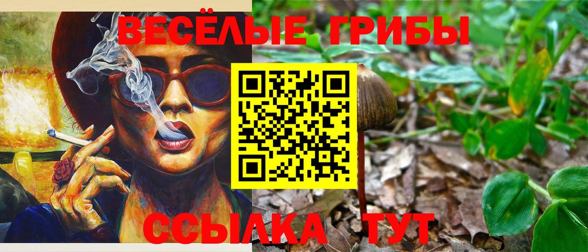 Ногинск  Галлюциногенные грибы прущие грибы  Вход с VPN 