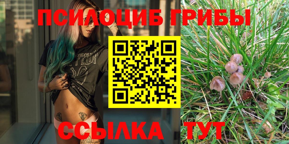 Псилоцибиновые грибы Cubensis Ногинск